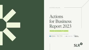 SLR Actions for Business Report 2023.pdf